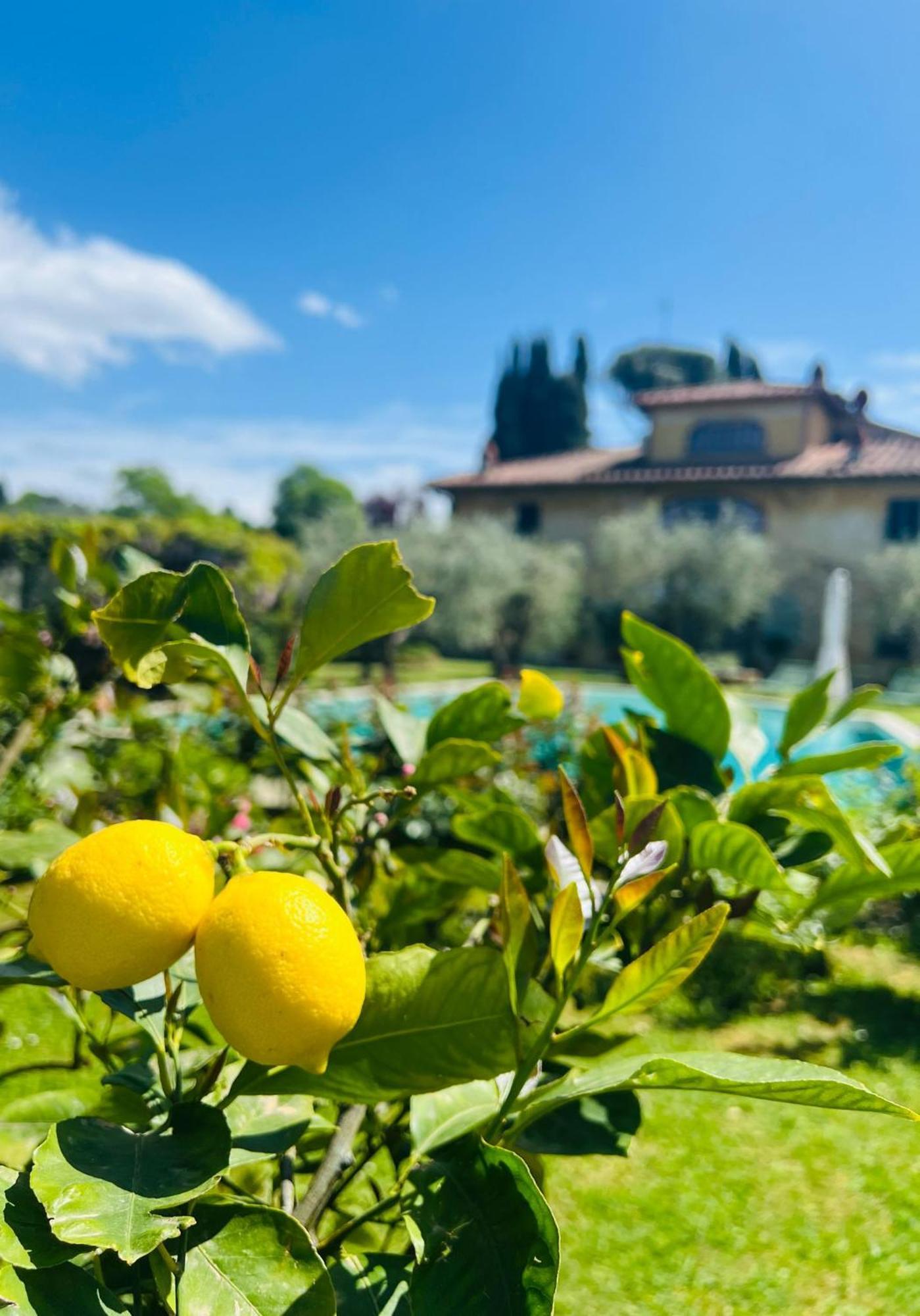 Villa Giotto Florence Pozzolatico ภายนอก รูปภาพ