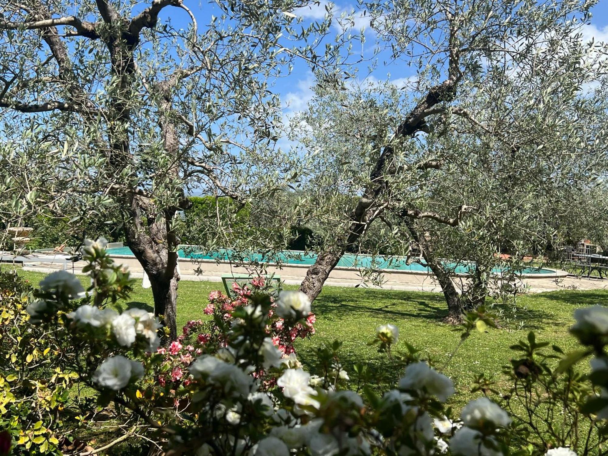 Villa Giotto Florence Pozzolatico ภายนอก รูปภาพ